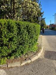 Photo of this report